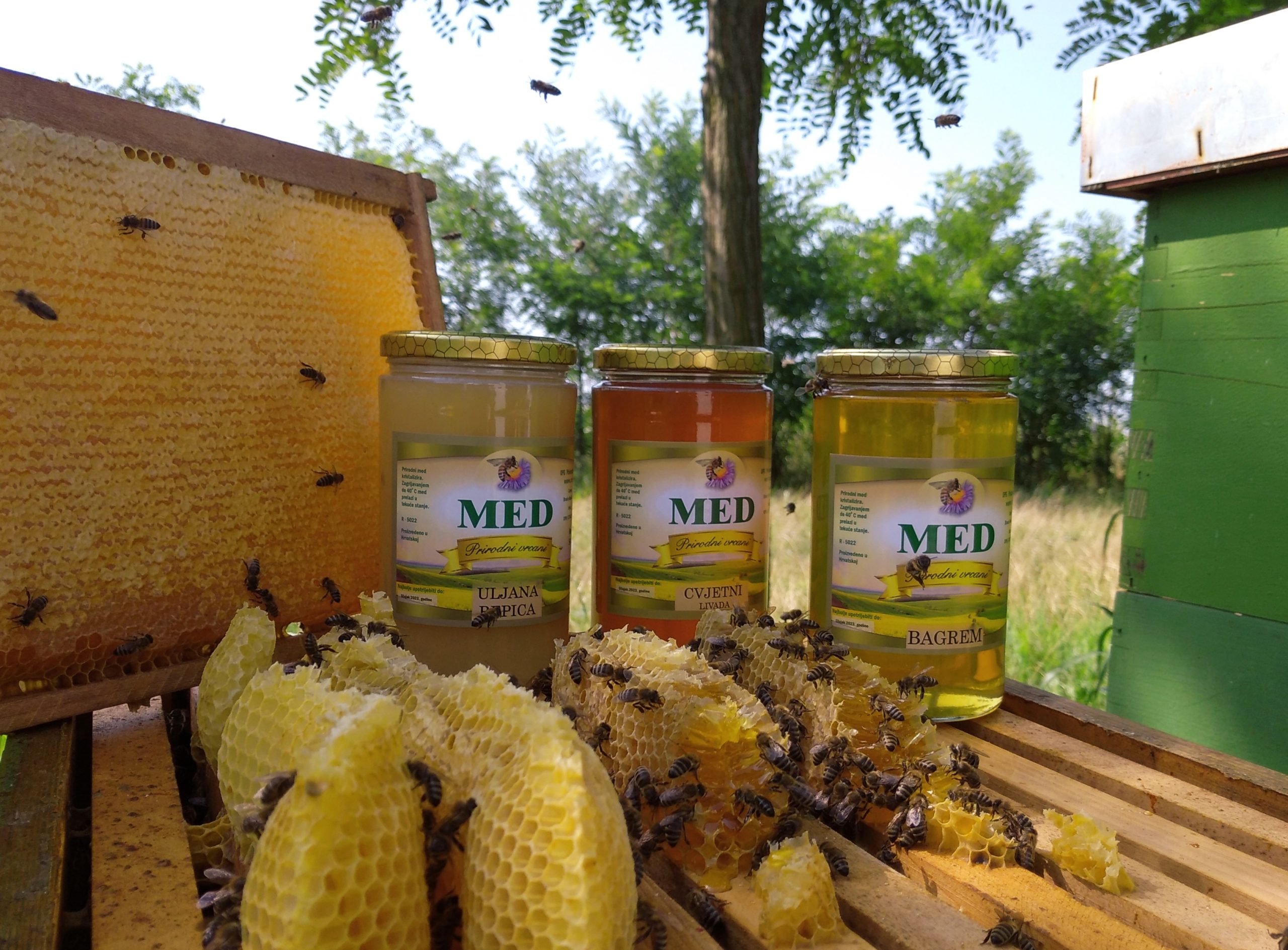 Pčelarstvo Vuić