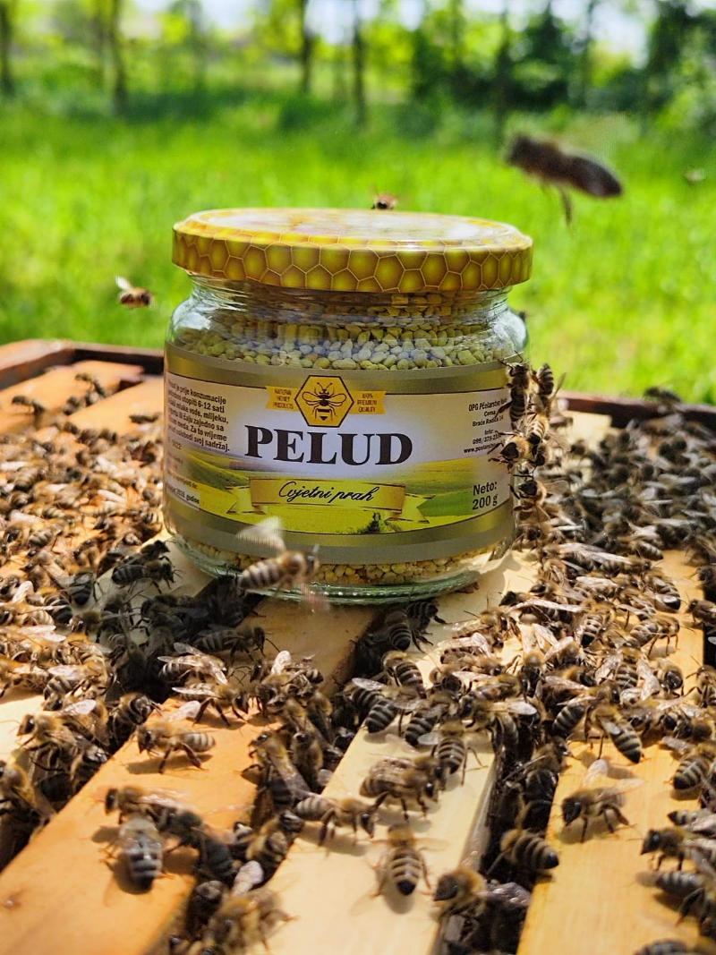 Pelud - Cvjetni prah
