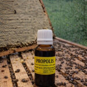 Propolis kapi